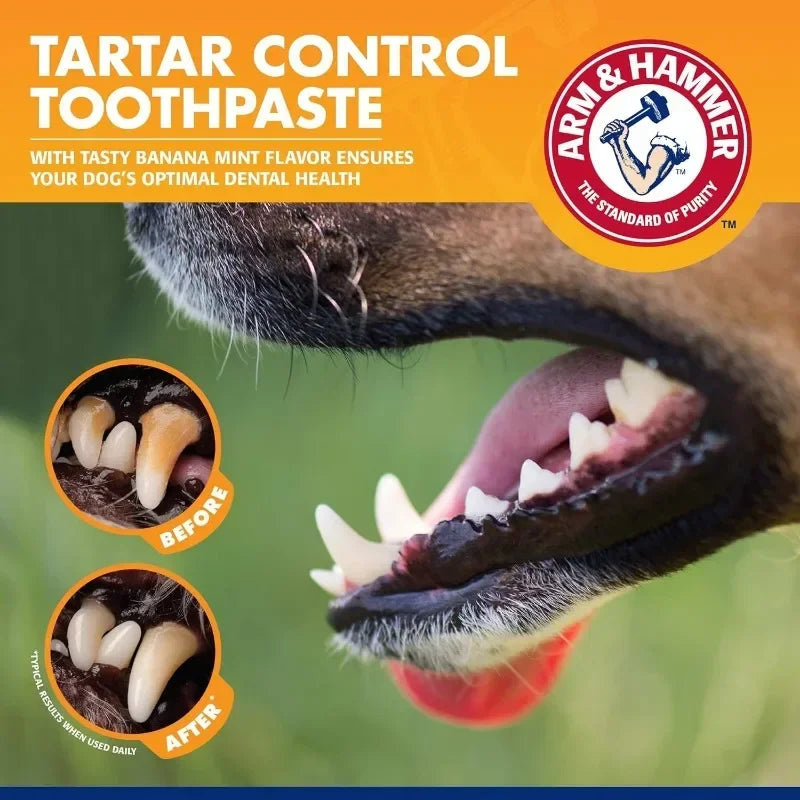 Complete Dental Care Kit
