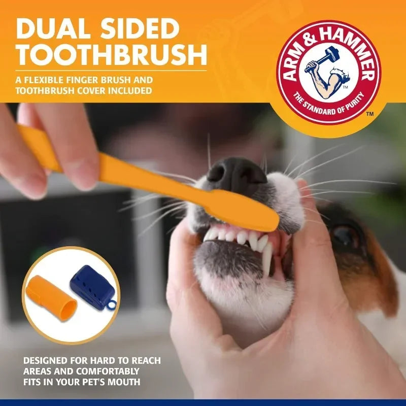 Complete Dental Care Kit